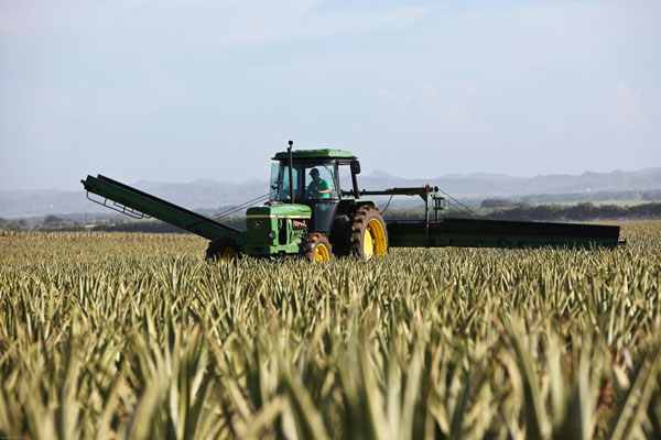Maquina agricola cosechando un campo